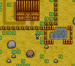 Bokujou Monogatari screenshot 4 for Super Famicom
